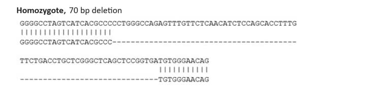 Sanger%20sequencing%20 %20mouse%20pdgfrb%20knockout%20nih3t3%20cell%20line%20(Ab300201)  Sanger Sequencing Img441887