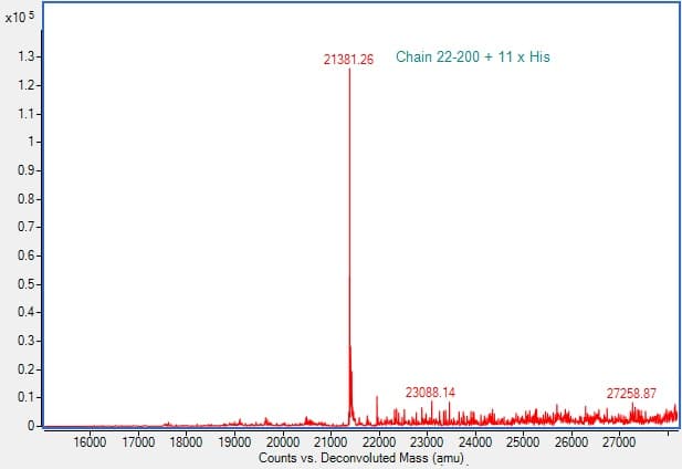 Recombinant Human TIM 3 Protein (His tag)(AB307482)