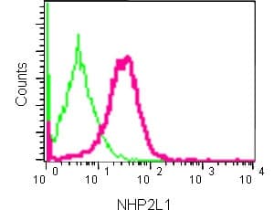 Nhp2l1 Antibody Epr11671 Ab181982  Flow Cytometry Intracellular Img63422