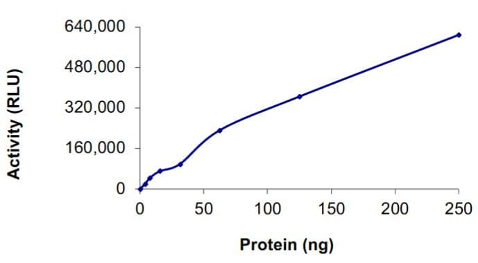 Recombinant human NRAS protein (Active)(AB268821)
