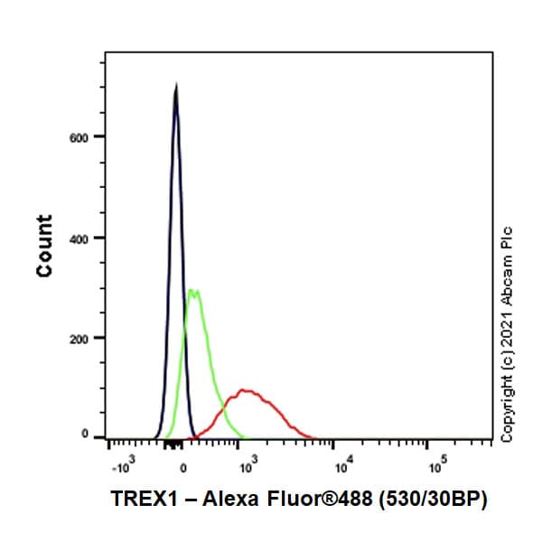 Anti-TREX1 antibody [EPR25101-12] (BSA and Azide free)(AB300446)