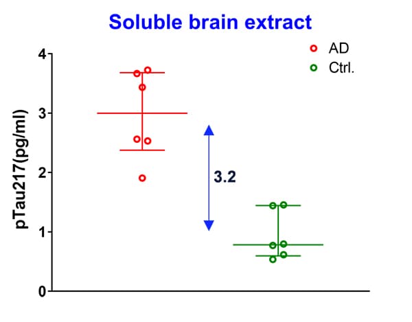 Anti-Tau (phospho T217) antibody [EPR24654-24] - BSA and Azide free(AB288167)