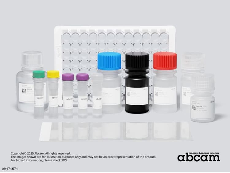 Human p53 ELISA Kit(AB171571)
