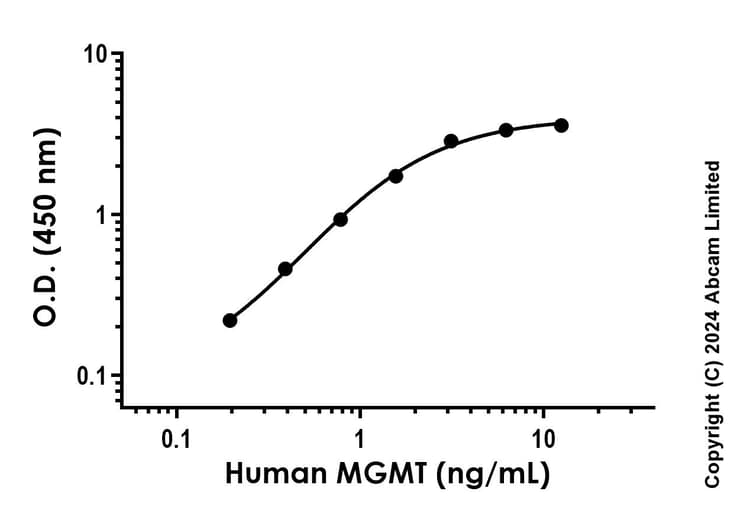 Anti-MGMT antibody [EPR4397-42] - BSA and Azide free (Detector)(AB285092)