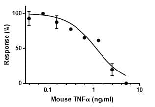 Recombinant mouse TNF alpha protein (Active)(AB259411)