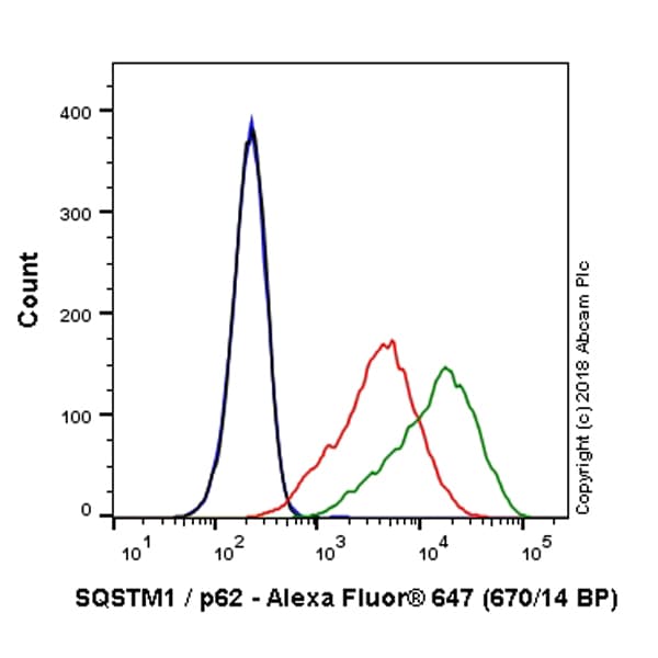 Alexa Fluor® 647 Anti-SQSTM1 / p62 antibody [EPR18351](AB225453)