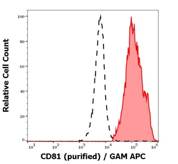 Anti-CD81 antibody [M38](AB79559)