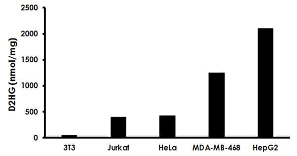 D 2 Hydroxyglutarate Assay Kit (Colorimetric)(AB211070)