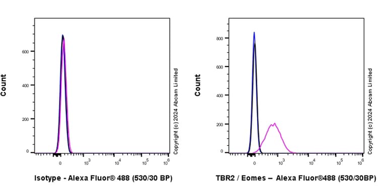 Anti-TBR2 / Eomes antibody [RM2055](AB319166)