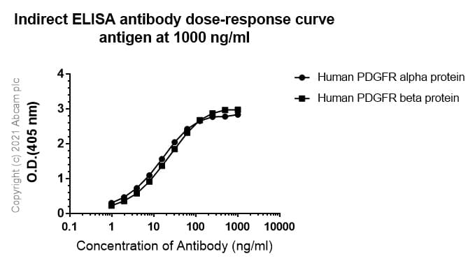 Anti-PDGFR alpha + PDGFR beta antibody [Y92] - C-terminal(AB32570)