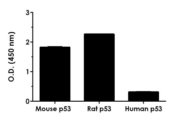 Mouse p53 ELISA Kit(ab224878)