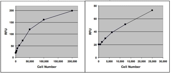 Hematopoietic Colony Forming Cell Assay Kit(AB242288)