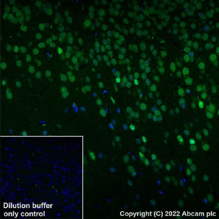 Antigen Retrieval Buffer (100X Tris-EDTA Buffer, pH 9.0)(AB93684)
