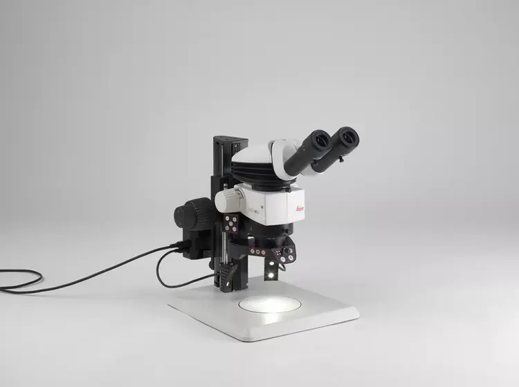 M60 Routine Stereo Microscopes