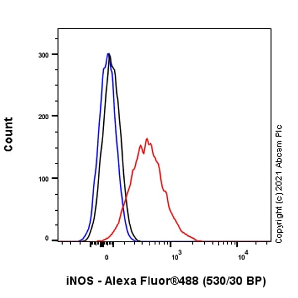 Anti-iNOS antibody [RM1017](AB283655)