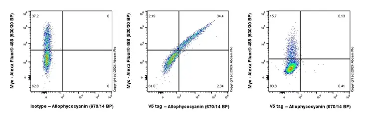 APC Rabbit IgG, monoclonal [EPR25A] - Isotype Control(AB232814)
