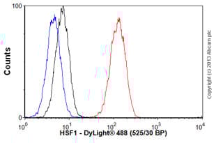 Anti-HSF1 antibody [10H8](AB61382)