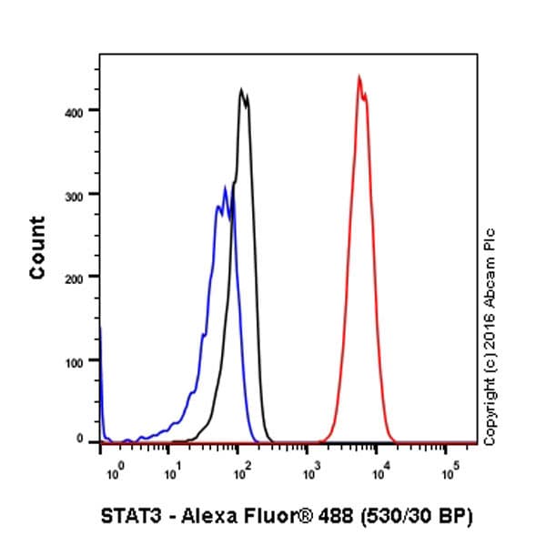Anti-STAT3 antibody [EPR787Y](AB68153)