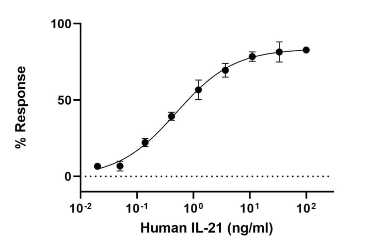 Recombinant Human IL21 Protein (Active)(AB316840)