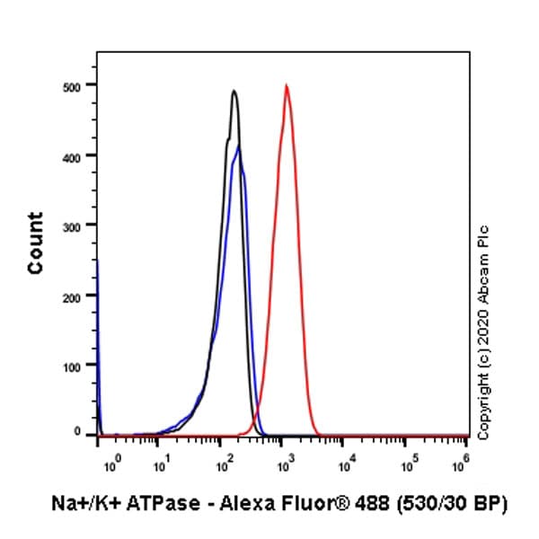 Anti-Sodium Potassium ATPase antibody [EP1845Y] - Mouse IgG1 (Chimeric) - BSA and Azide free(AB283340)
