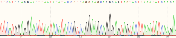Human EIF2AK2 (PKR) knockout HeLa cell line(ab261824)