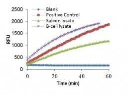 CD38 Activity Assay Kit (Fluorometric)(AB284540)