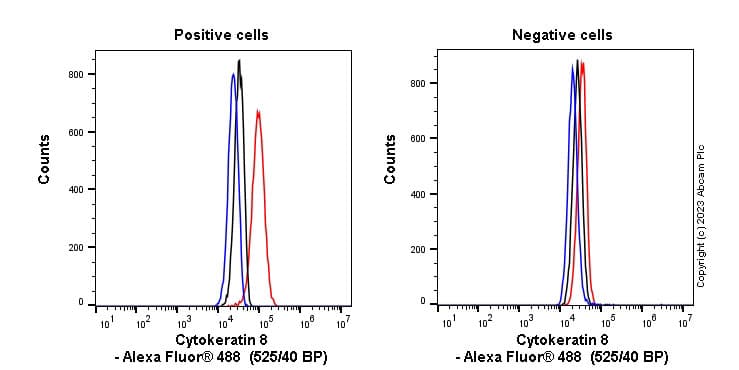 Anti-Cytokeratin 8 antibody [EP1628Y] - Cytoskeleton Marker(AB53280)