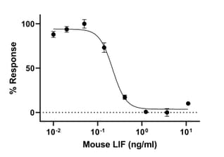 Recombinant Mouse LIF protein (Active)(AB288791)