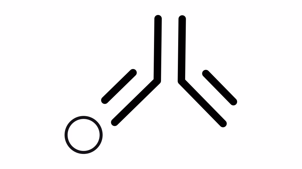 Primary Antibodies