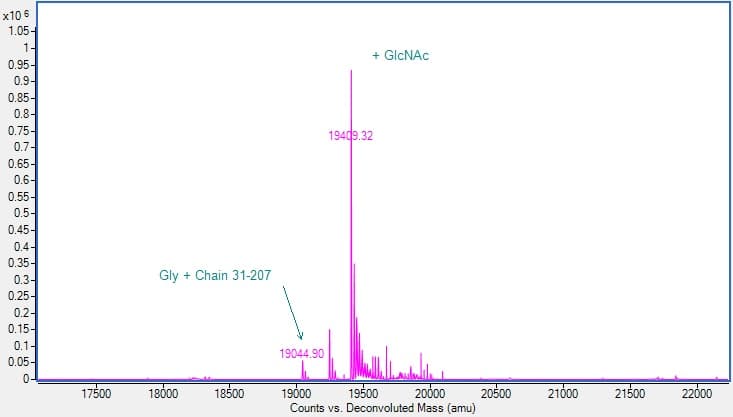 Recombinant Human G-CSF Protein (Active)(AB307484)