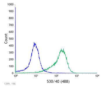 Flow Cytometry analysis of HL-60 cells labeled with anti-PAX8 antibody (ab227707).