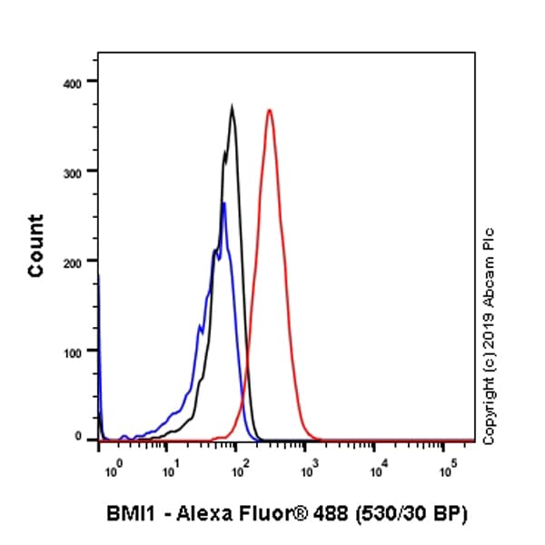 Anti-Bmi1 antibody [EPR22604-160] - ChIP Grade(ab254253)