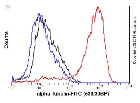 Anti-alpha Tubulin antibody [EP1332Y] - Microtubule Marker(AB52866)