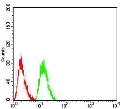 Anti-AKT1 antibody [1F7E10](AB233755)