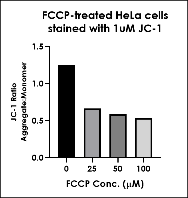 JC-1 - Mitochondrial Membrane Potential Assay Kit(AB288313)