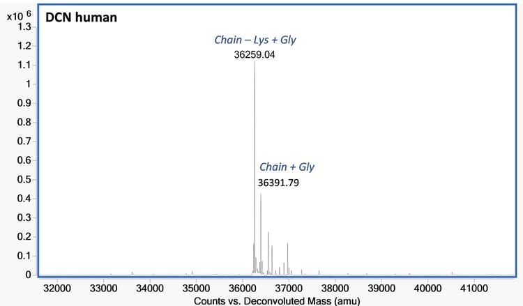 Ab283431  Mass Spectrometry Img165840