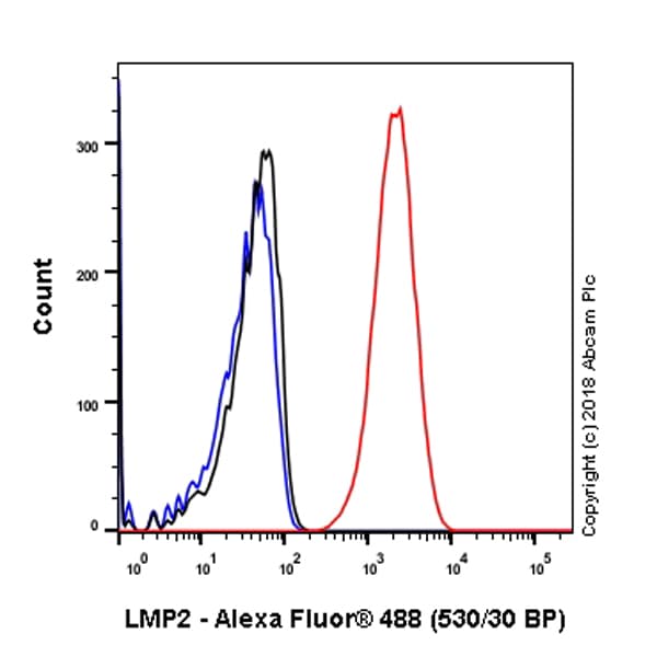 Anti-Proteasome 20S LMP2 antibody [EPR22042](AB242061)