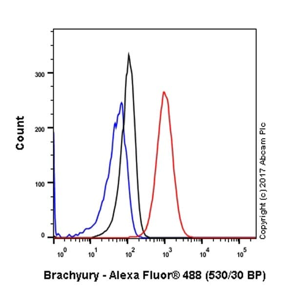 Anti-Brachyury / Bry antibody [EPR18113](AB209665)