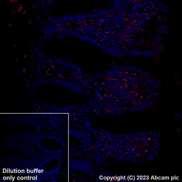 Antigen Retrieval Buffer (100X Tris-EDTA Buffer, pH 9.0)(AB93684)
