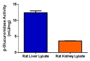 ß-Glucuronidase Activity Assay Kit (Fluorometric)(ab234625)