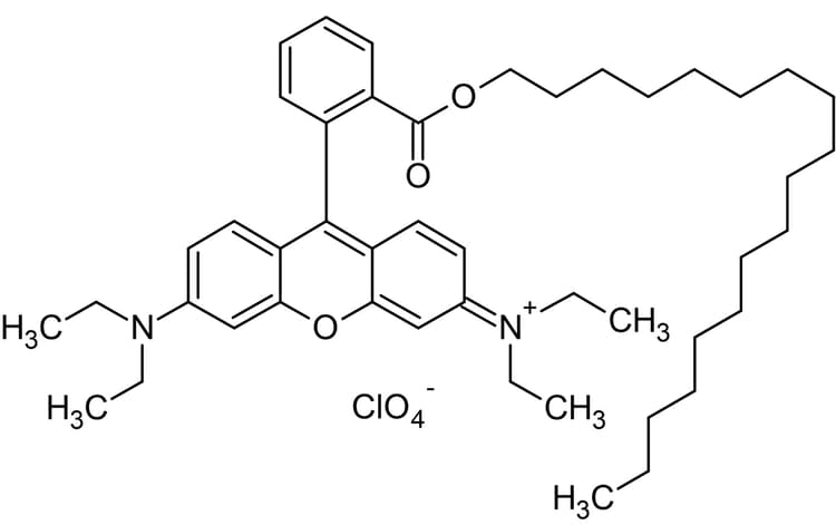Rhodamine B Octadecyl Ester Perchlorate Lipophilic Energy Transfer Acceptor Ab145364  Chemical Structure Img179664