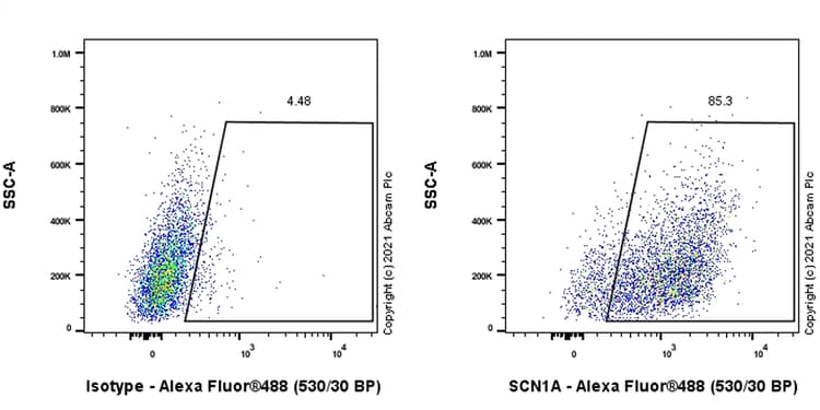 Scn1a Antibody Epr22326 112 Ab222091  Flow Cytometry Intracellular Img68294