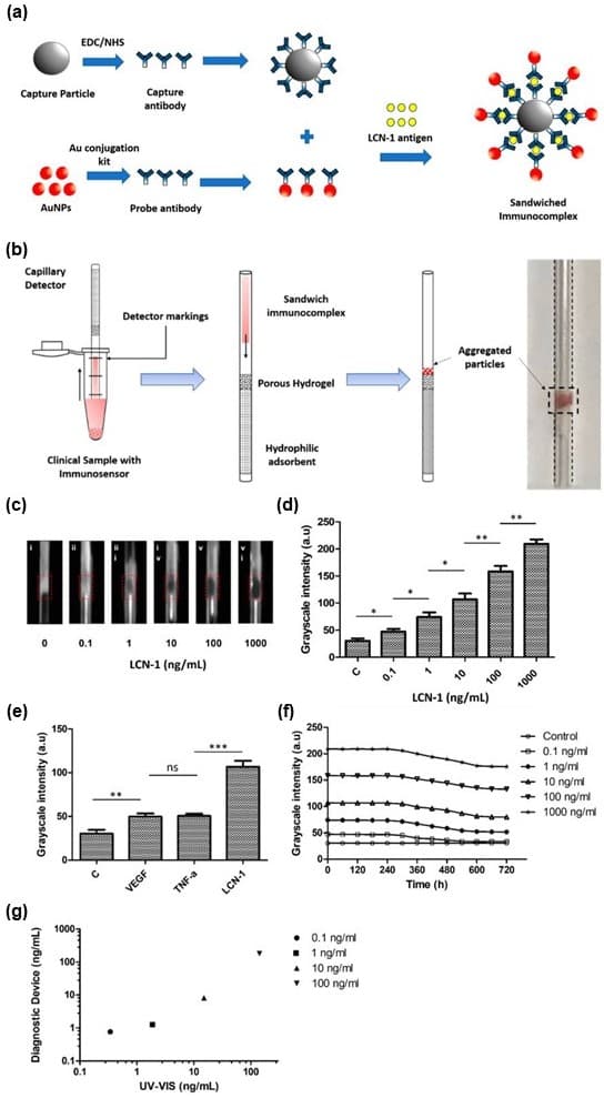 Gold Conjugation Kit (40nm, 20 OD)(AB154873)