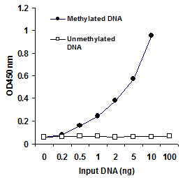 Methylated DNA Quantification Kit (Colorimetric)(AB117128)