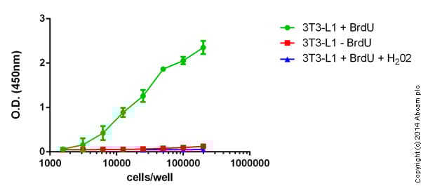 BrdU Cell Proliferation ELISA Kit (colorimetric)(AB126556)