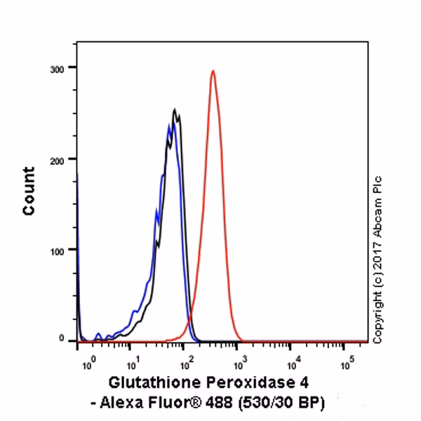 Intracellular flow cytometry analysis of HeLa cells (human cervix adenocarcinoma) showing labeling of Glutathione Peroxidase 4 in red using antibody ab125066 at a dilution of 1/400