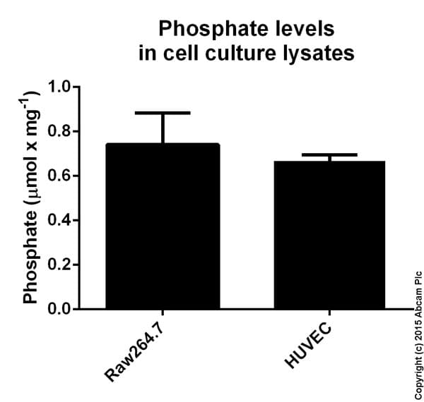 Phosphate Assay Kit (Colorimetric)(AB65622)