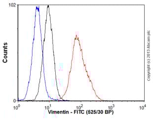 FITC Anti-Vimentin antibody [RV202](AB128507)