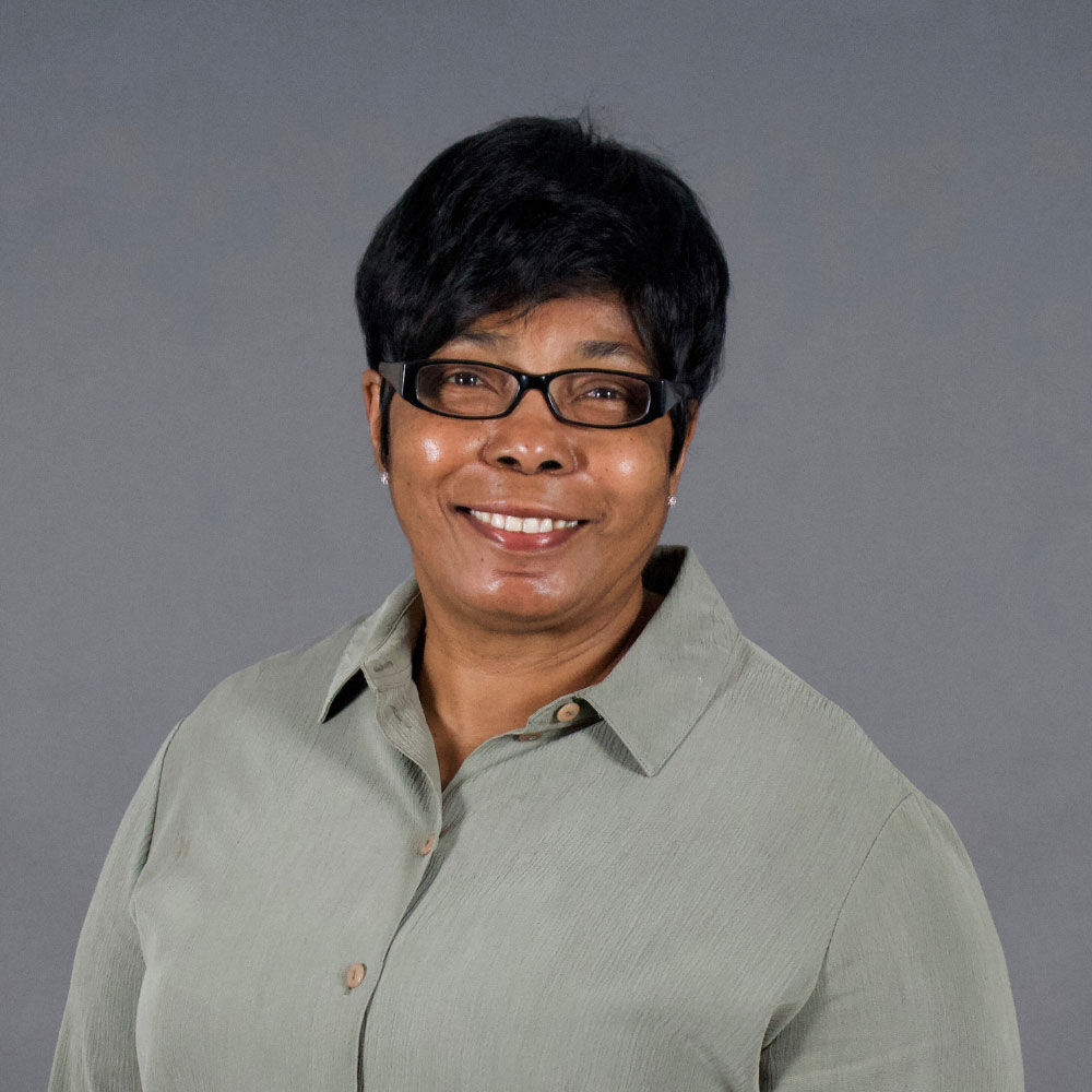 UC Enuity Ultramicrotome