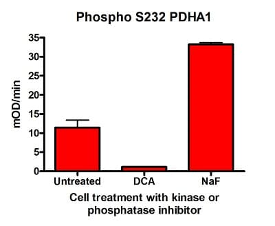Phospho S232 PDH E1 alpha protein (PDHA1) Profiling ELISA Kit(AB115343)